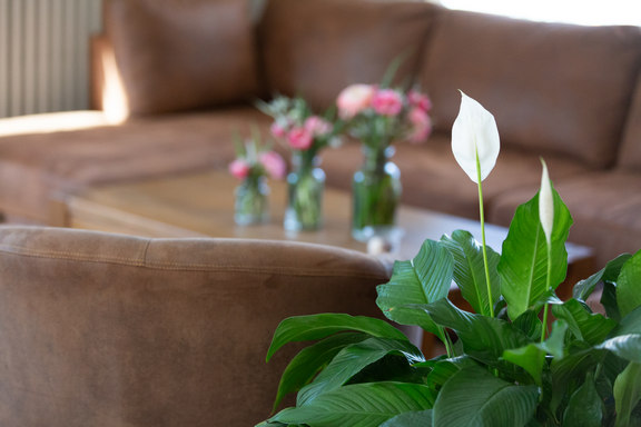 Hotel bar La Piscine