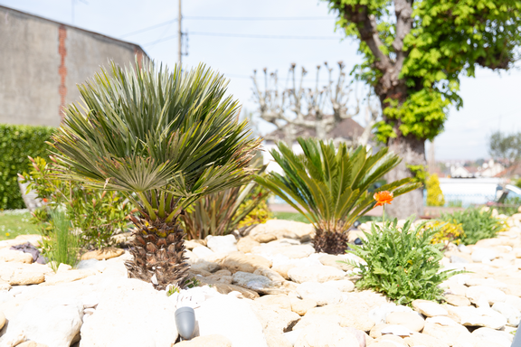 Hotel bar La Piscine
