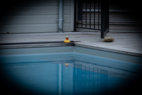 Hotel bar La Piscine